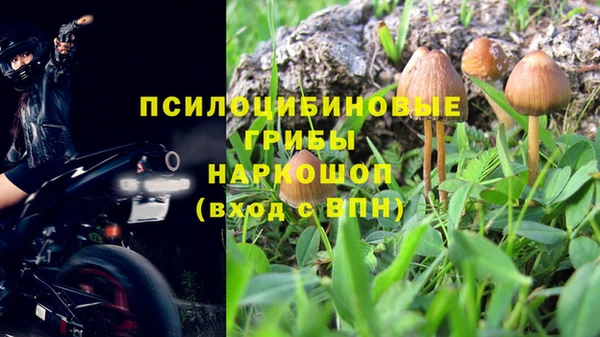 дживик Инсар