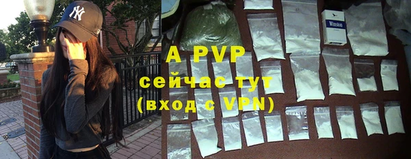 дживик Инсар