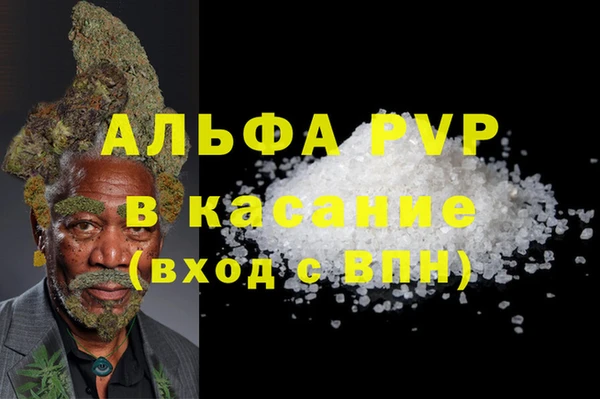 дживик Инсар