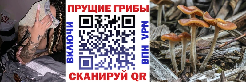 Купить закладки  Горняк  Псилоцибиновые грибы Magic Shrooms 